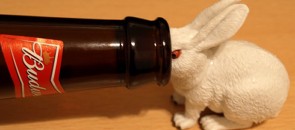 Coelho com cabeça dentro de uma garrafa de cerveja