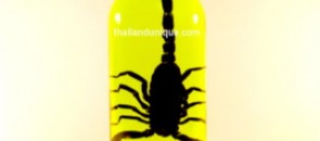 Real Scorpion Vodka