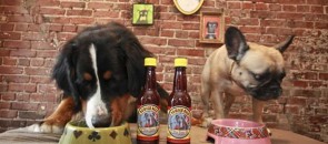 Cachorros bebendo a cerveja Bowser Beer