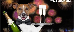 Retrospectiva 2012, um cachorro carregando champagne