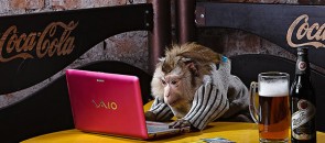 Macaco no computador com cerveja