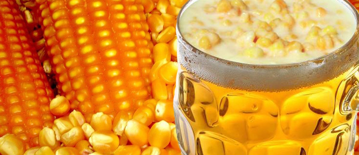 cerveja de milho