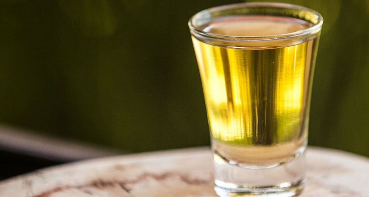 Cachaça em cima da árvore