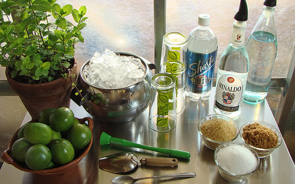 Ingredientes pra fazer o Mojito