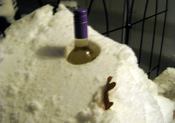 Garrafa de vinho enterrado na neve