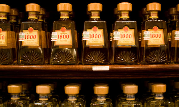 Várias garrafas de tequila