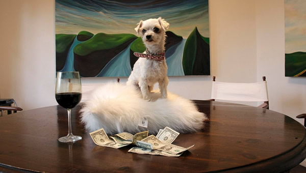 Cachorro em cima da mesa com taça de vinho e dinheiro