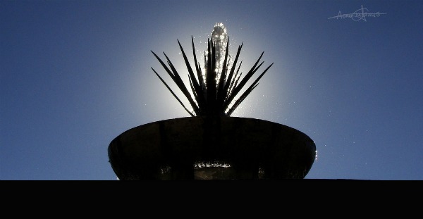 Fonte de água com uma planta de agave