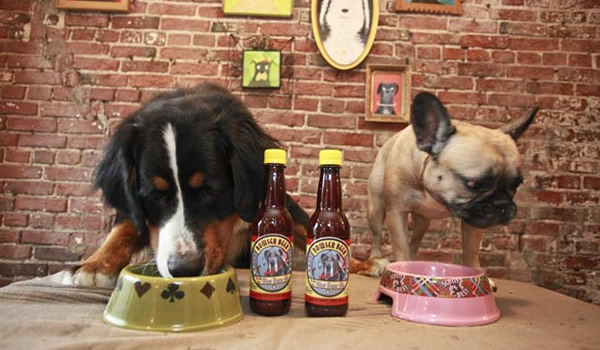 Cachorros bebendo a cerveja Bowser Beer