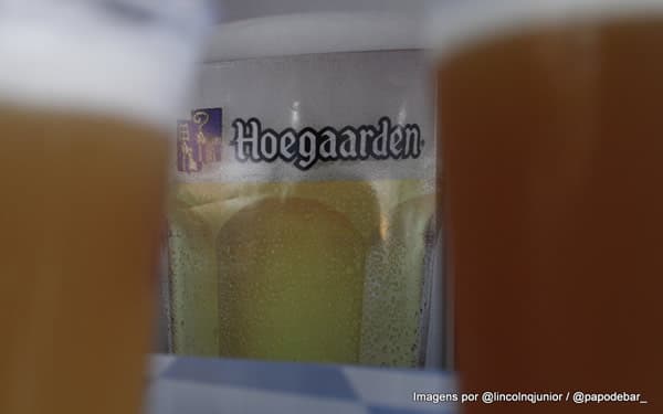 Geladeira da Hoegaarden