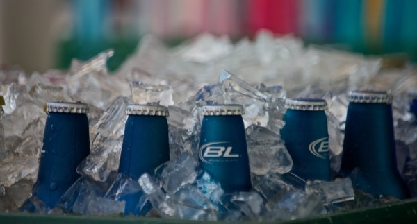 Balde de gelo com garrafas da cerveja sem álcool Bud Light