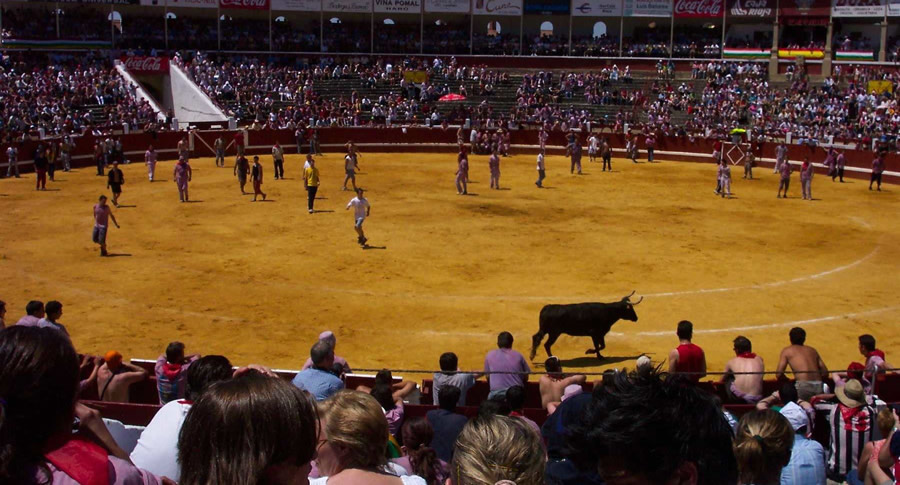 Vaquilhas da La Batalla del Vino