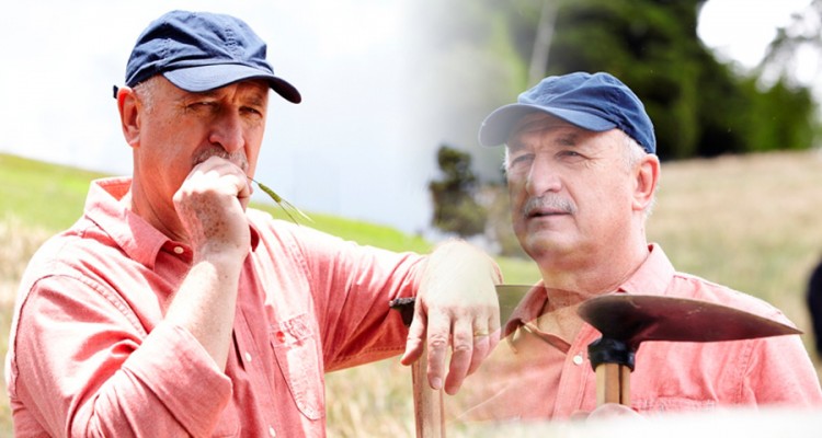 Thumb do artigo Seleção Especial – A Brahma da Granja Comary