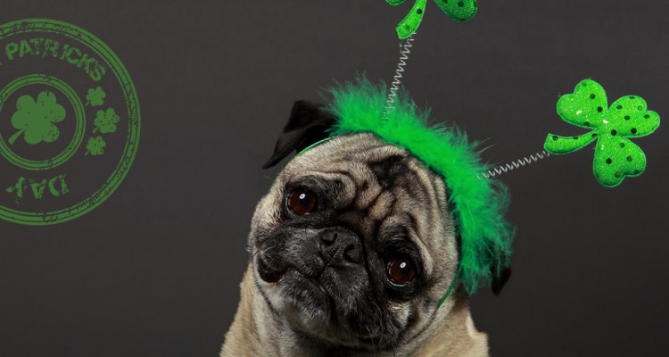 Thumb do artigo Vem aí o Saint Patrick’s Day 2014!