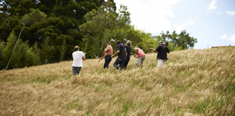 Funcionários na plantação de cevada na Granja Comary