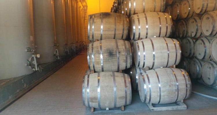 Thumb do artigo Viajar é cultura (etílica): Vinícola Ouro Verde