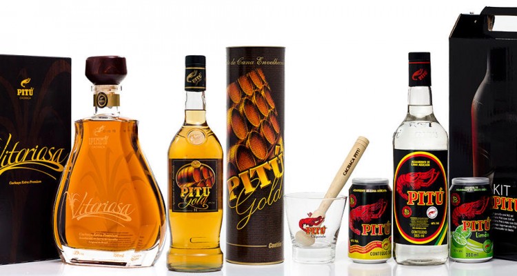 Thumb do artigo Loja Online Pitú