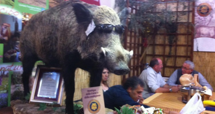 Thumb do artigo Salone del Gusto – Torino 2014