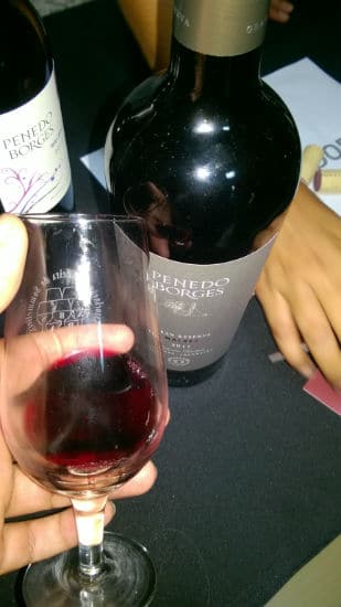 vinho penedo borges no Malbec World Day