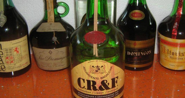 Thumb do artigo Êta, bagaceira!