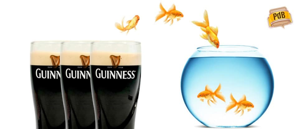 peixes saindo do pint de guinness