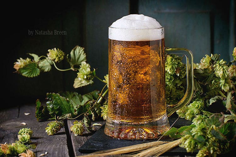 caneca de cerveja com lúpulo ao fundo