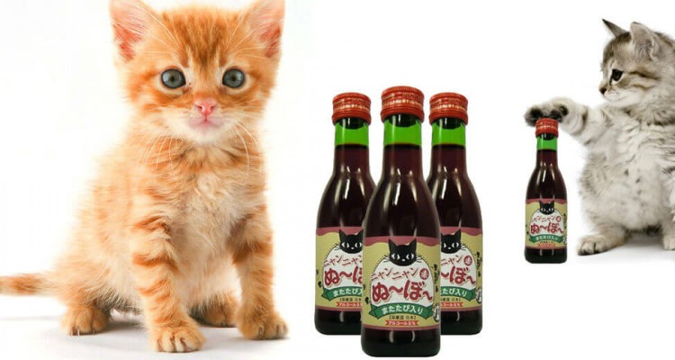 Thumb do artigo Nyan Nyan Nouveau: Japoneses lançam vinho para gatos