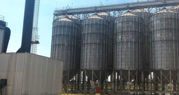 Thumb do artigo O que é uma Maltaria?