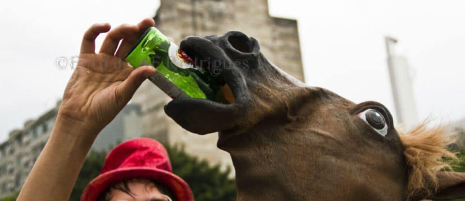 cabeça de cavalo bebendo cerveja