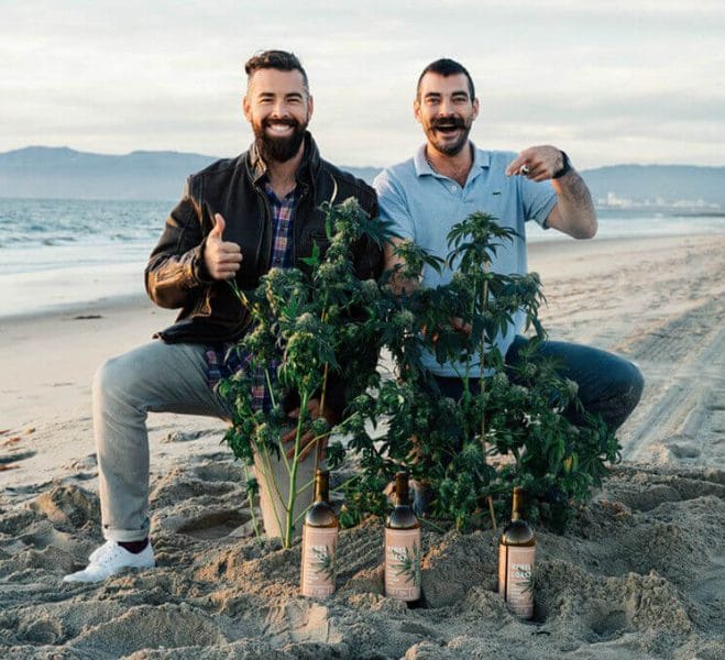 produtores do vinho com maconha