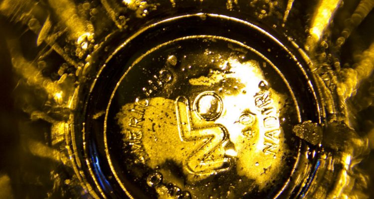 Thumb do artigo Wäls cria movimento para mostrar que o Copo Americano se chama Lagoinha