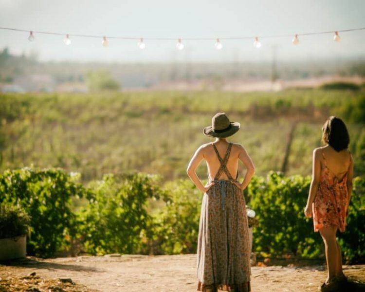 mulheres vinícolas de Mendoza