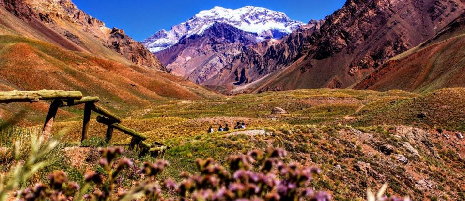 vinícolas de Mendoza