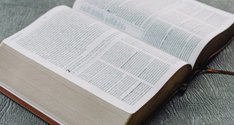 Thumb do artigo O Destino Abunda – Capítulo 8