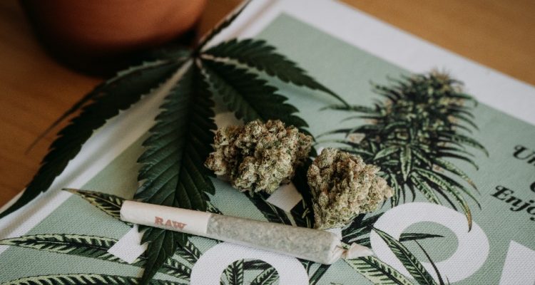 Thumb do artigo Um papo sobre álcool, maconha e outras drogas