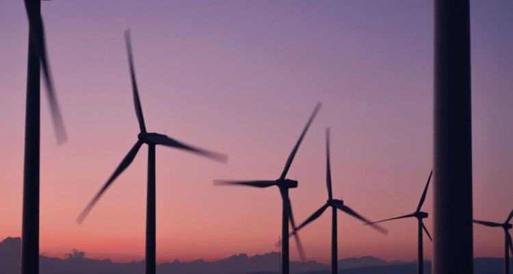 Thumb do artigo Heineken investe em energia renovável – Green your City